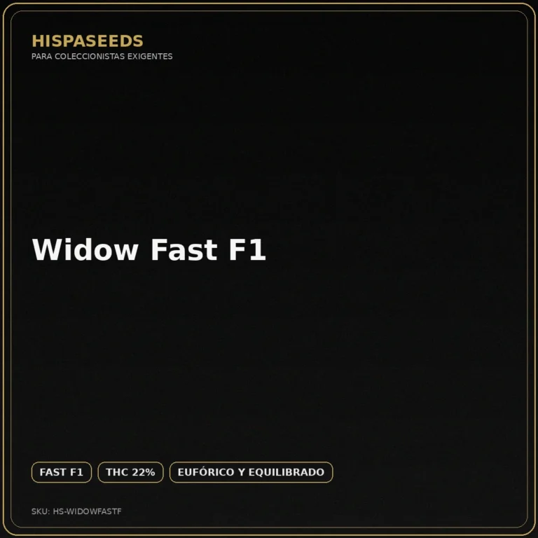 Widow Fast F1