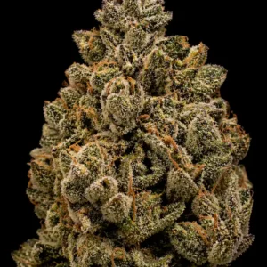 Girl Scout Cookies Feminizada