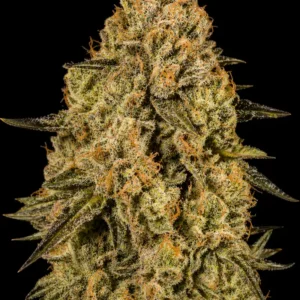 Gorilla Banana Auto