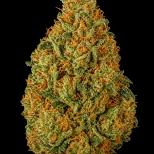 Orange Bud Feminizada