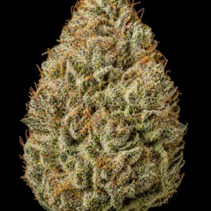 Pure Power Plant Feminizada