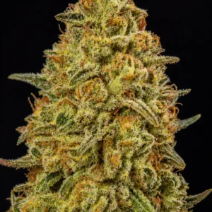 Sweet Caramel Auto