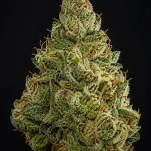 Tahoe OG Fast F1