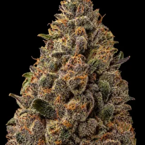 Wedding Cakes Auto
