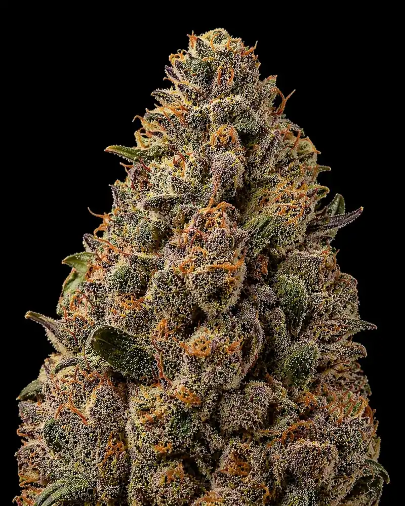 Wedding Cakes Auto