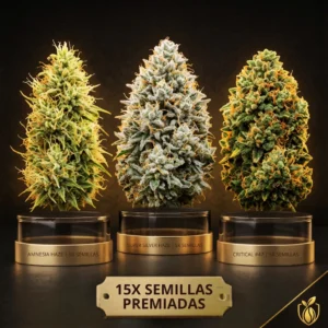 Pack Terpene Gold de HispaSeeds con perfil aromático Orange Sherbert, Cherry Pie y Apple Fritter.